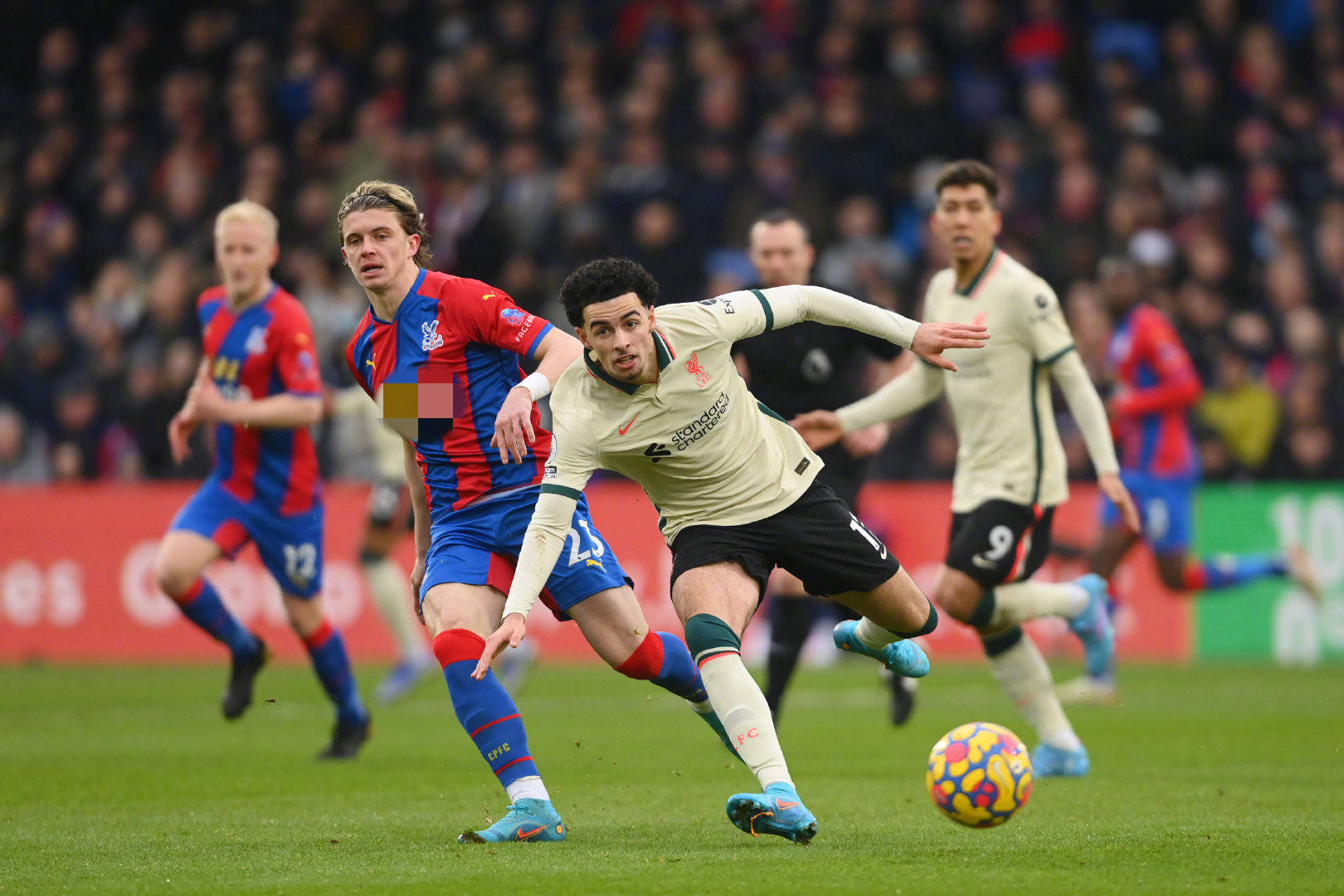 也显得尤为 也显得尤为